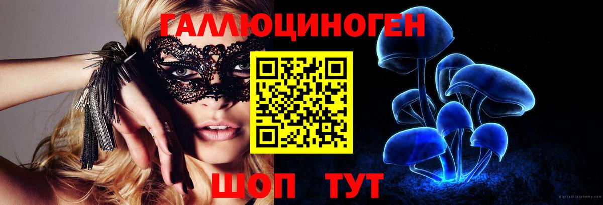 Славянск-на-Кубани  Галлюциногенные грибы Magic Shrooms  Вход с VPN  Галлюциногенные грибы GOLDEN TEACHER 